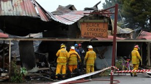 Black Cockatoo Arthouse fire